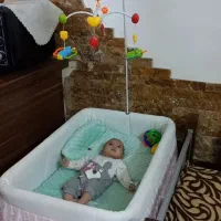 تخت نوزاد چرخ دار با پشه بند
