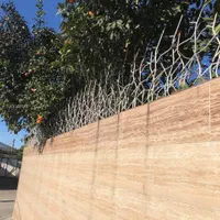 شاخ گوزنی با قیمت تولیدی + مشاوره رایگان