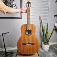 گیتار آریا AK35