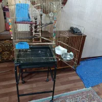 قفس بزرگ ۱۰۳۳ طلایی همراه پایه