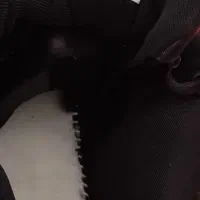 کفش تاناکورا۴۰|کیف، کفش، کمربند|جوانرود, |دیوار