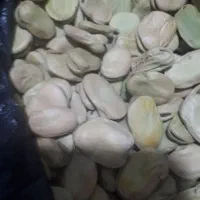 باقله درجه یک برناج|عمده‌فروشی|بیستون, |دیوار