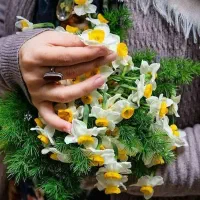 نیاز به سرمایه گذار واقعی