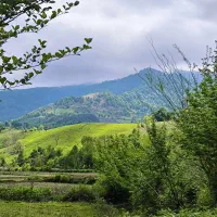زمین-300-متری-بر-اسفالت-روستای-لیش