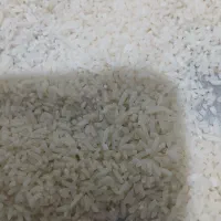سلام برنج گیلان به شرط پخت من خودم کشاورزی دارم|خوردنی و آشامیدنی|قدس, شهر‌قدس|دیوار