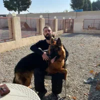 مربی سگ در تهران/آموزش سگ/تربیت تخصصی سگ در تهران|خدمات آموزشی|تهران, سعادت‌آباد|دیوار