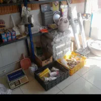 وسایل‌پلاستیک‌|ظروف نگهدارنده، پلاستیکی، یک‌بارمصرف|ابهر, |دیوار