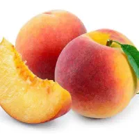 فروش نهال هلو آلبرتا دیررس|خدمات باغبانی و درختکاری|مهاباد (آذربایجان غربی), |دیوار