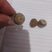 فروش دو عدد مهره ویک انگشتر