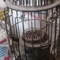 والر نفتی سالم