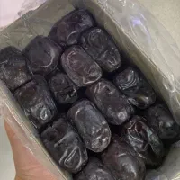 خرما درجه یک خوزستان ارسال ب تمام نقاط کشور