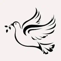 یک جفت کبوتر قلمکار