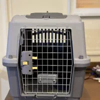 باکس حیوانات خانگی مدل رها