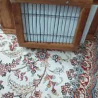 قفس شکاری|لوازم جانبی حیوانات|سنندج, |دیوار