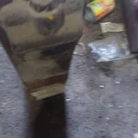 فروش لوازم وقطعات لیفتراک وغیره|ماشین‌آلات صنعتی|تهران, هفده شهریور|دیوار