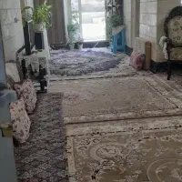 اجاره آپارتمان ۱۰۰ متری ۱ خوابه همکف در ابوطالب|اجارهٔ آپارتمان|مشهد, گلبرگ|دیوار