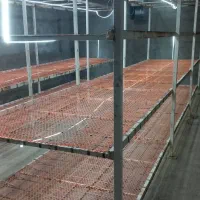 فروش وسایل سالن قارچ وگلخانه