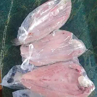 ماهی قزل پاک شده تازه تازه ۳۴۰