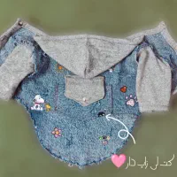 لباس سگ|لوازم جانبی حیوانات|ری, دولتآباد|دیوار