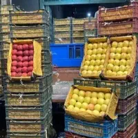 توزیع پخش میوه و تره بار با کمترین قیمت|خوردنی و آشامیدنی|تهران, میدان میوه و ترهبار مرکزی|دیوار