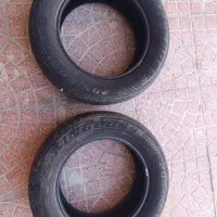 لاستیک چینی 2024