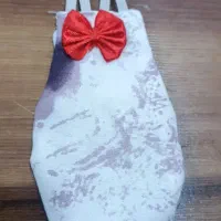 لباس پرنده پوشک عروس هلندی