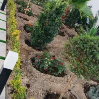 باغبانی|خدمات باغبانی و درختکاری|تهران, تجریش|دیوار