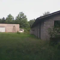 گاوداری 100 راسی(پرواری) خمام-شیجان|فروش دفتر صنعتی، کشاورزی، تجاری|خمام, |دیوار