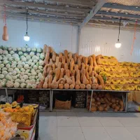 میوه فروشی حقوق ماهیانه۲۵ملیون همراه باتعیلات