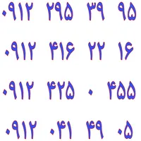 ۰۹۱۲.۲۹۵.۳۹.۹۵