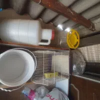 پلاستیک|ظروف نگهدارنده، پلاستیکی، یک‌بارمصرف|فردیس, داوری|دیوار