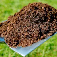 خاک باغچه کیسه ای 50 کیلو فقط 60 هزار