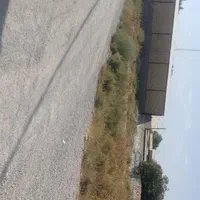 زمین کشمیری۶ مناسب سوله ۲۵۰متری|فروش زمین و ملک کلنگی|مشهد, رسالت|دیوار