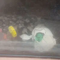 آکواریوم