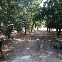 زمین ۱۲۰۰ متری احمد آباد دماوند|فروش زمین و ملک کلنگی|دماوند, دماوند|دیوار