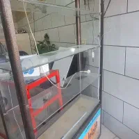 ویترین پاچال و  رگال و ویترین پشت شیشه