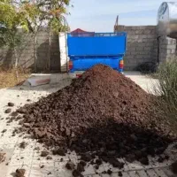 کود حیوانی مرغوب گاوی