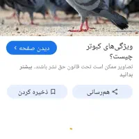 جوجه گلوپی دم سبز
