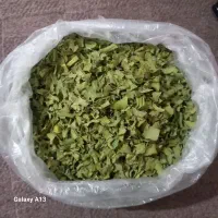 پرموسیر درجه یک