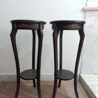 میز کنار سالنی