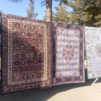 فرشینه|فرش|تربت جام, میان جام|دیوار