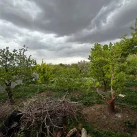 باغ-ویلا-سربندان-دماوند