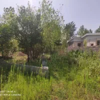 زمین ساحلی ۲۱۱ متری سند تک برگ  ۵۰ متری جاده|فروش زمین و ملک کلنگی|بندر انزلی, جفرود پایین|دیوار