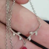 گردنبندنقره وپلاک