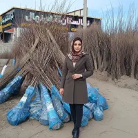 نهال گردو سردسیری شناسنامه‌دار با عملکرد بالا