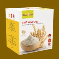 پودر جوانه گندم