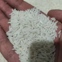 برنج هاشمی سورتینگ زده|خوردنی و آشامیدنی|رشت, آب آسیاب|دیوار