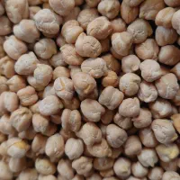 نخود پاک شده ،تمیز|خوردنی و آشامیدنی|اسدآباد, |دیوار