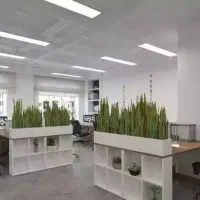 دستیار مدیر عامل خانم