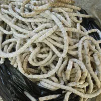 سرب پرده